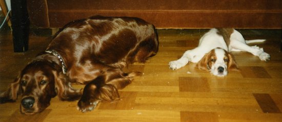 Nina och Berna