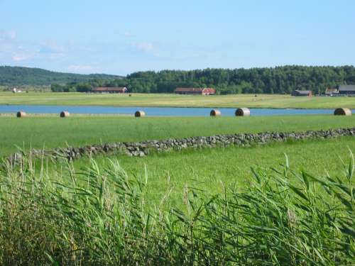 Solbergakilen nedanför våra fält - 13/7 2003