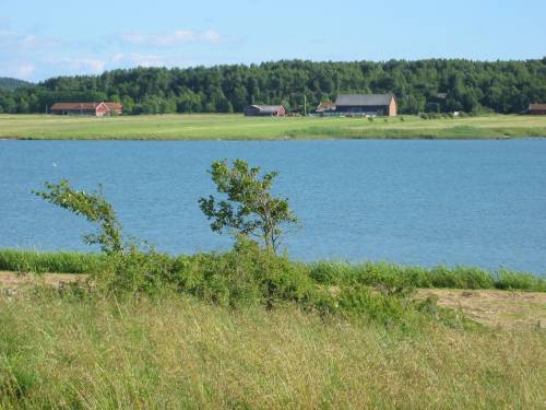 Solbergakilen nedanför våra fält - 13/7 2003